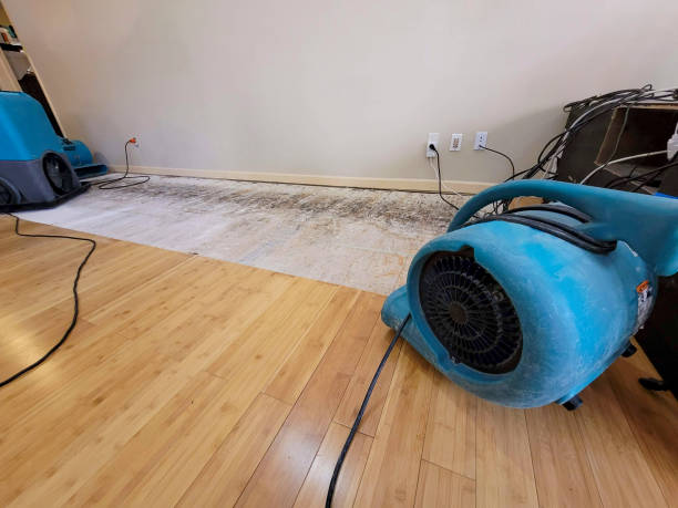 Professional Water Damage Repair technician working in Huntingdon, PA